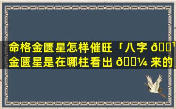 命格金匮星怎样催旺「八字 🌹 金匮星是在哪柱看出 🌼 来的」